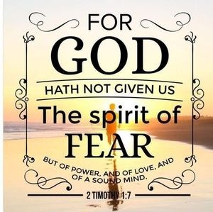 Meet your Posher, Katy